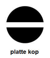 Platte kop