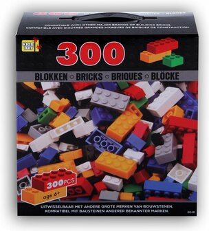 Kids Fun Bouwstenenpakket 300-delig