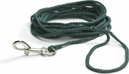 Beeztees Zoeklijn - Hondenriem - Nylon - Groen - 15M