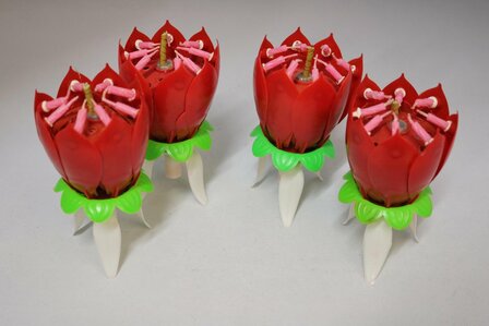 Lotusbloem kerst met fontein en muziek 4 stuks