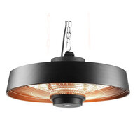 Terras Verwarming Infrarood 2000 W met afstandsbediening